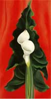 Calla Lilies on Red